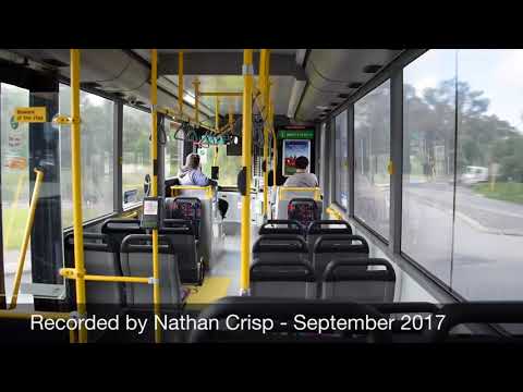 Transperth Bus No.1794 Kickdown (Part 1)