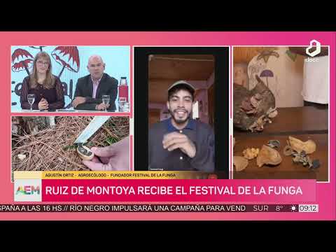 #AhoraEnMisiones: Ruiz de Montoya recibe al Festival de la Funga