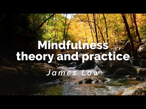 Mindfulness: theory and practice. Warsaw 11.2008