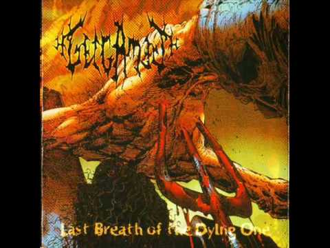 Gelgamesh - Rotten Dismembered Organs