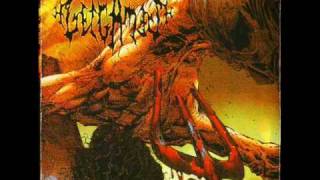 Gelgamesh - Rotten Dismembered Organs