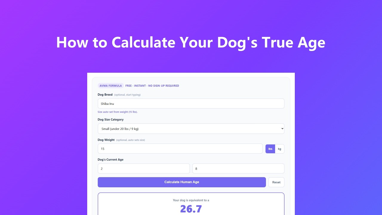 How to use Dog Age in Human Years - Video Tutorial