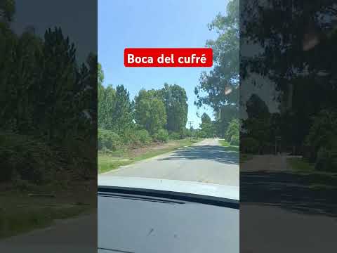 Boca del cufré Uruguay