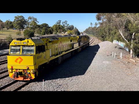 Aurizon 6009 & ACD6055 at East Maitland - 21/6/23