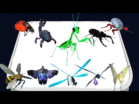 MAX LEVEL - Merge Ant: Insect Fusion ⚜️ Merge Master