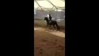 preview picture of video 'Blackman Bay First Time Under Saddle'