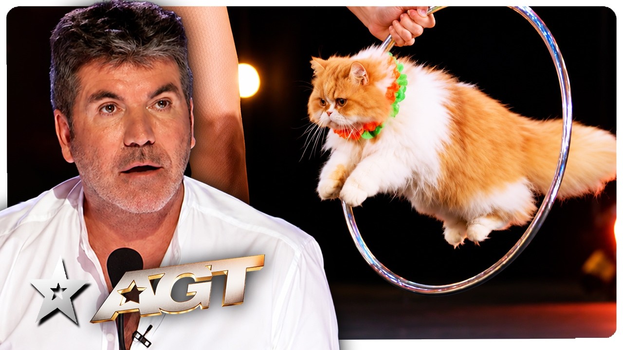 Simon Cowell Wasn’t Expecting Much… Then These Cats Stunned Everyone! | America’s Got Talent