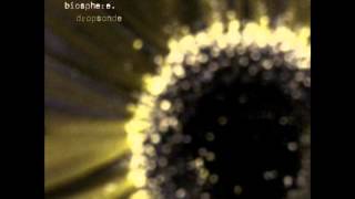 My Favorite Electronica, Ambient 8