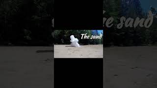 Download lagu Ninja 🥷 Smoke bomb test with impact on different types of terrain mp3 Download lagu Ninja 🥷 Smoke bomb test with impact on different types of terrain mp3