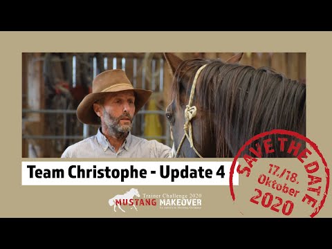 MUSTANG MAKEOVER 2020 - Team Christophe (TAG 5120) - Update 4
