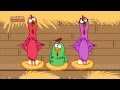 Gallina Pintadita