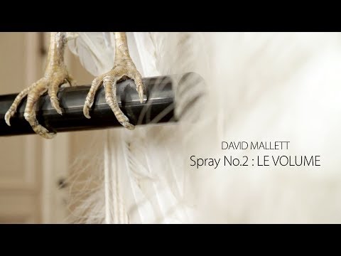 David Mallett: How to use Spray No.2: Le Volume