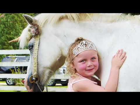Butterflies Of Hope|Unicorn Session