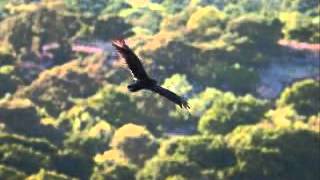 Country Music   Marleys Ghost  Lyrics