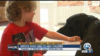 Service dogs can help families with children on the autism spectrum