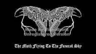 Funeral Moth-Ignorance