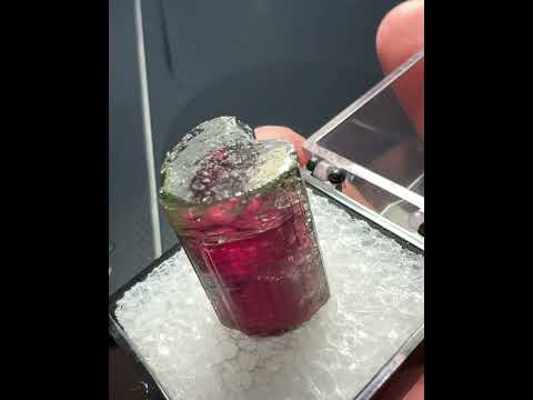 Elbaite var. Tourmaline. Cruzeiro mine, Sao Jose da Safira, MG, Brazil. Side shoot is terminated