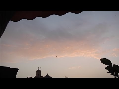 Mercedes Nasta & Rodrigo Blanco - Jardín de Planetas (lyric video)