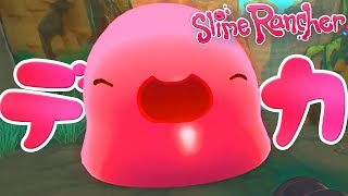 【Slime Rancher】#3 巨大スライムに遭遇！？【スライムランチャー】