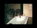 猩猩寶寶洗澡趣　 潑水滑行樣樣来