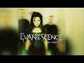 Evanescence - Going Under (Instrumental w/ Backing Vocals)
