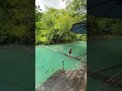 Camping Rio Formoso