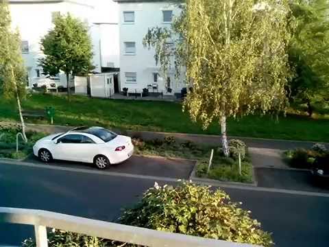 Mühlheim-Lämmerspiel: Super schöne 2-ZW mit Süd-Balkon + EBK