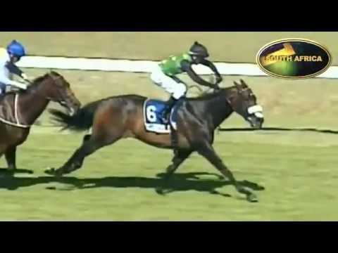 PENINSULA HANDICAP (Grade 2) 2013