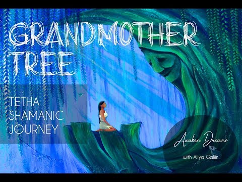 Grandmother Tree - Guided meditation for WOMEN