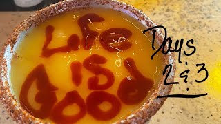 Solo Cruise - Carnival Panorama - December 2024 - Eps. 3