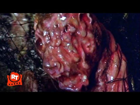 Japan Jav Porn #302127 (a35WzdSh4y0) Thumbnail