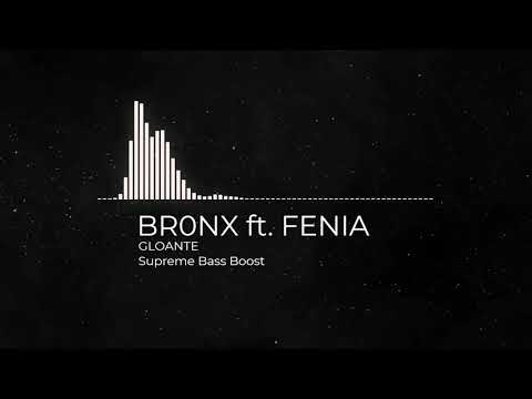 BR0NX ft. FENIA - GLOANTE | Bass Boosted