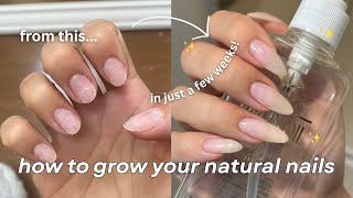 my nail routine for long natural nails | cuticle care + builder gel tutorial