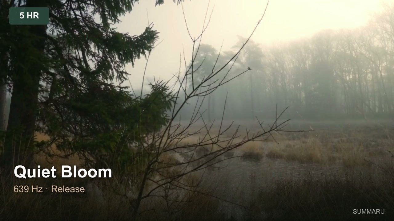Quiet Bloom | 5 Hour Release Music | 639Hz Letting Go