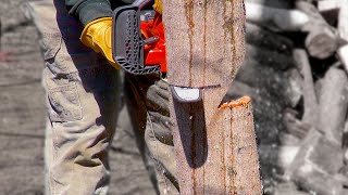HOW TO CUT DOWN A SMALL TREE | HUSQVARNA BATTERY CHAINSAW