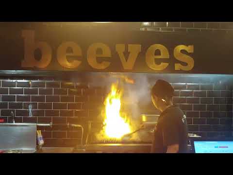 Elektrostatik filtre İstanbul kurtköy beeves