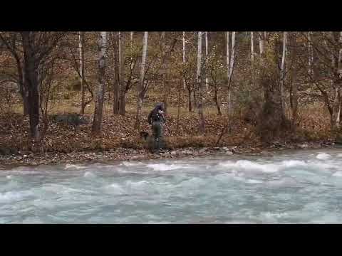 Vispassage in Uzbekistan, deel 1