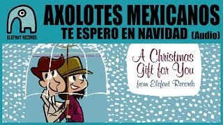 Te Espero En Navidad Music Video
