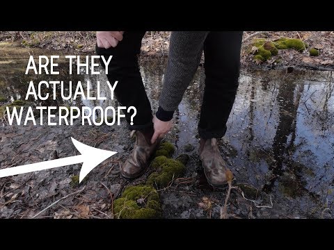 Are Blundstone Boots Worth the Hype? Review + Waterproof Test