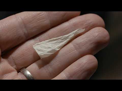 Des jours #1196 - Ce qu'il reste