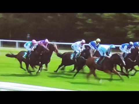 Hackwood Stakes-Yafta