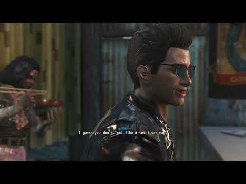 Fallout 4 SV: Atom Cats!