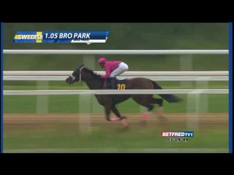 SWEDEN   BRO PARK  13.05