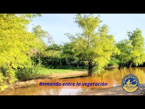 Rio Paraná crecido - Remando entre la vegetación I San Lorenzo - Santa Fe I RemoAventura