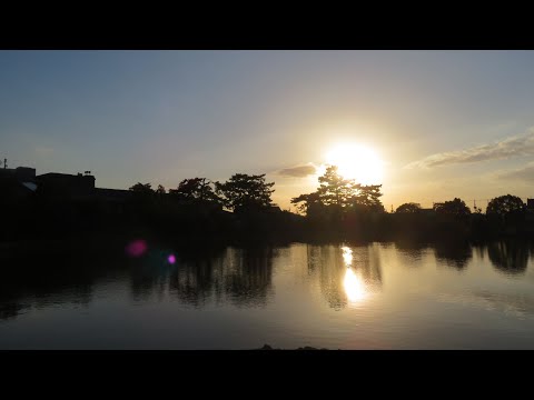 Flores en una ventana pequeña 1872 Viaje de finales de otoño 6 Hotel Nara y un paseo divertido ♪ Concierto de Bach para 2 violines ♪