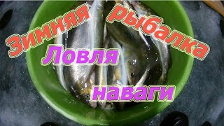 Зимняя рыбалка 2019 года в приморском крае