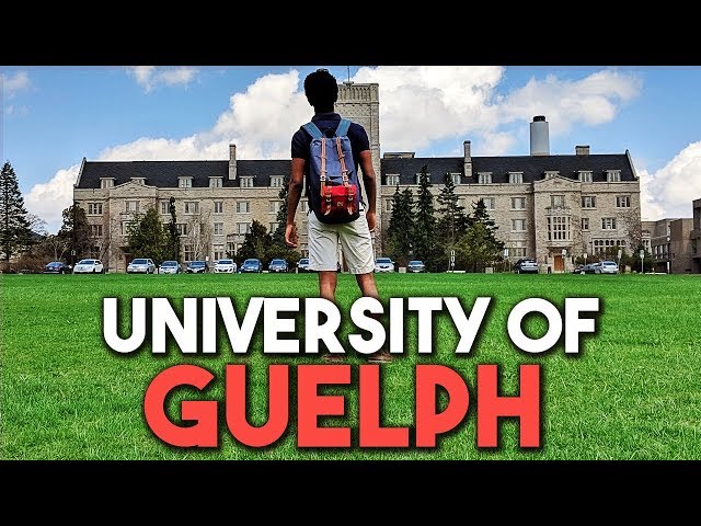 University of Guelph vidéo #1