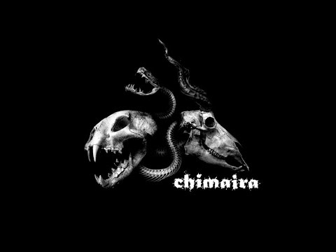 24 of the Best of Chimaira (Greatest Hits)