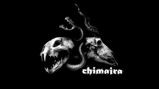 24 of the Best of Chimaira (Greatest Hits)