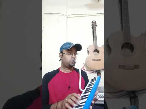 Parshuram Subramanian Moh Moh ke Dhaage - Melodica Instrumental by Parshuram